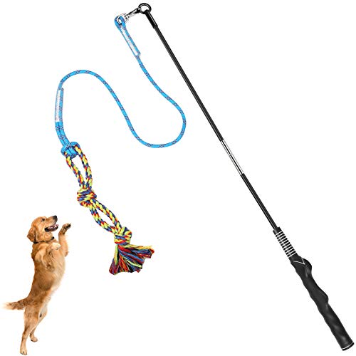 Dog Flirt Pole Toy, Interactive Teaser Wand for Dogs Tug of War and Outdoor Exercise, Tether Lure Toy with Chewing Cotton Rope to Chasing and Training for Small Dogs