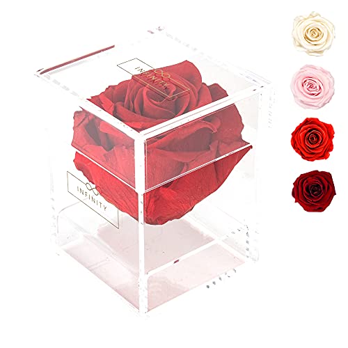 Infinity Acrylbox - 1 Echte Infinity Rose, die 1-3 Jahre hält ohne Wasser | Acrylbox mit Roter haltbarer Rose - Mit Geschenkverpackung für sie