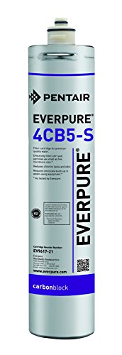 Everpure EV9617-21 4CB5-S Filterkartusche