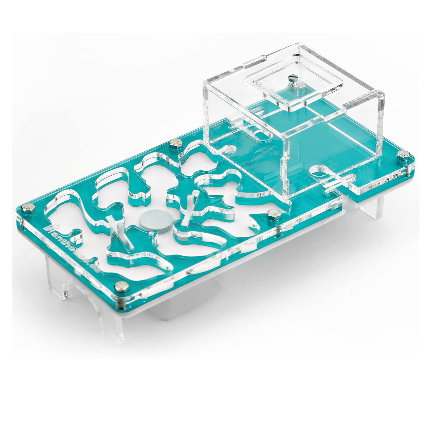 AntHouse - Ant Farm Educational Kit - Pilzmodell - 10x20x1,3 cm - Hellblau - Freie Ameisen