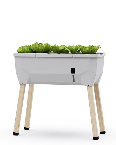 Sammy Salad - Balkonhochbeet - 15 L Wassertank mit Bewässerungssystem - inklusive Wasserstandsanzeige - 40 L Erdvolumen - 79 x 37 x 75cm - Hochbeet (hellgrau, ohne Haube)