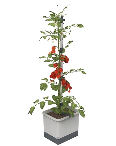 Tom Tomato - Tomatentopf - 4,5 L Wassertank Bewässerungssystem - Rankhilfe - Befestigungshaken - 20 L Erdvolumen - Kletterpflanzen - Pflanzkübel Pflanzgefäß Blumentopf Pflanzturm (Hellgrau)