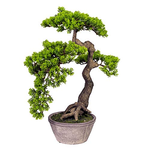 Kunstpflanze Bonsai Zeder künstliche Pflanze Baum Grün im Topf 52 cm - 3319452-50