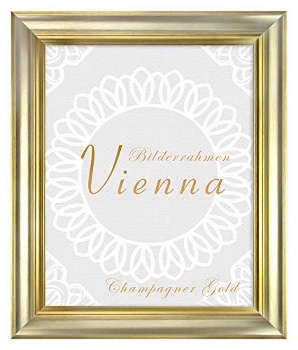 BIRAPA Bilderrahmen Vienna 50x60 cm in Champagner Gold mit 1 mm Kunstglas entspiegelt
