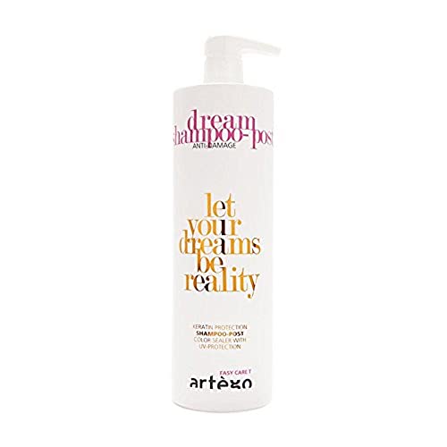 Artègo Dream Shampoo Post - Easy Care T Dream - 1 Liter