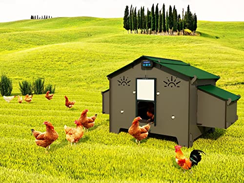 Hühnerstall für 20 Hühner, 4 Sitzstangen, 4 Außennester, automatische Tür inklusive Polly Chalet 4XL Grau, hergestellt in Italien