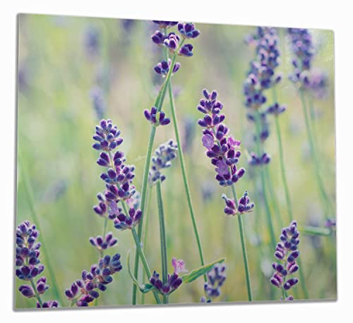Wallario Herdabdeckplatte/Spritzschutz aus Glas, 1-teilig, 60x52cm, für Ceran- und Induktionsherde, Lila Blumenfreude - Violette Pflanzen auf der Wiese
