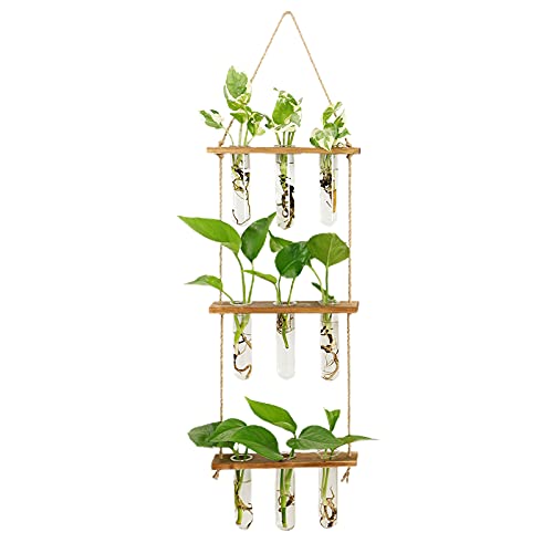 HLTER Wandbehang Glas-Pflanzgefäß, 3 Ebenen Mini Reagenzglas Blumenvasen Pflanzen-Terrarium mit Holzständer Reagenzglas Vase Air Planter Halter für Hydrokulturpflanzen