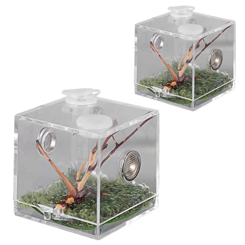 Insekt Spider Reptile Terrarium Cage, Transparenter Kunststoff Reptile Breeding Box Viewing Box for Spider Cricket Snail Tarantulas (Color : 2pcs, Size : 6.5x6.5x6.5cm)