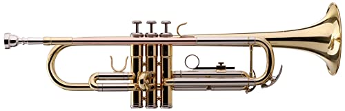 Classic Cantabile TR-39 Bb-Trompete (Schallbecher Messing 125 mm, Mundrohr Goldmessing, Stimmzug Neusilber)