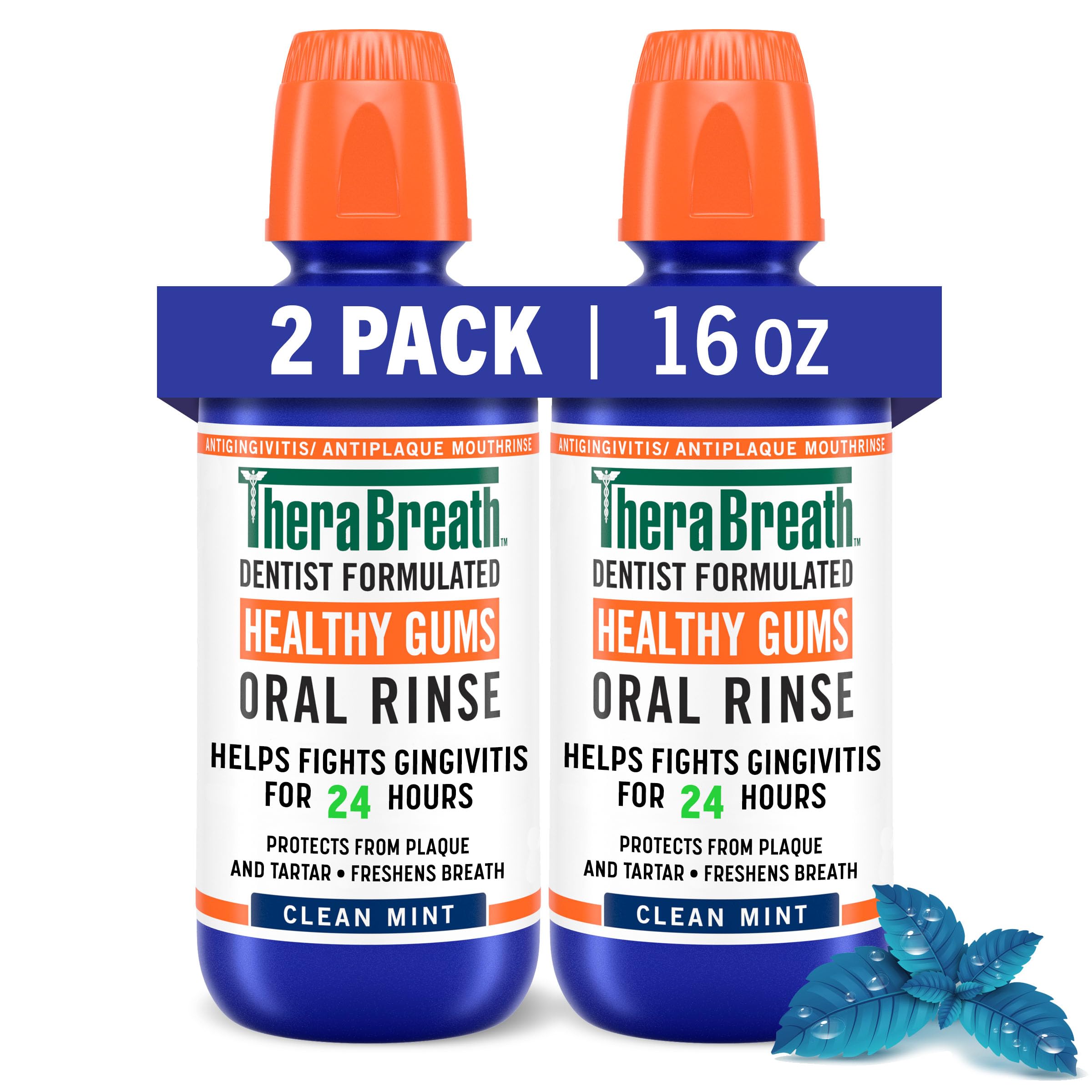 TheraBreath 24 Hour Healthy Gums Periodontist Formulated Oral Rinse, 16 Ounce (Pack of 2)