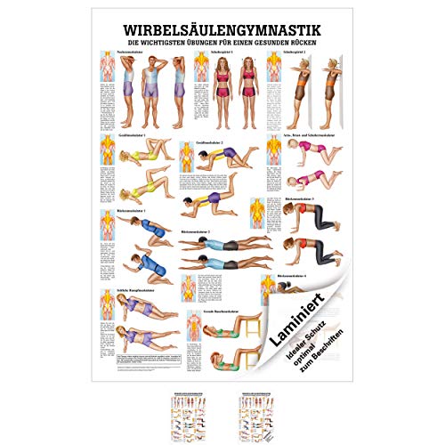 Wirbelsäulengymnastik Lehrtafel Anatomie 100x70 cm medizinische Lehrmittel