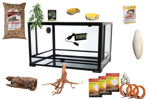 M&S Reptilien Komplettset: Für Leguane (182x61x91cm) Terrarium ohne Terrarium