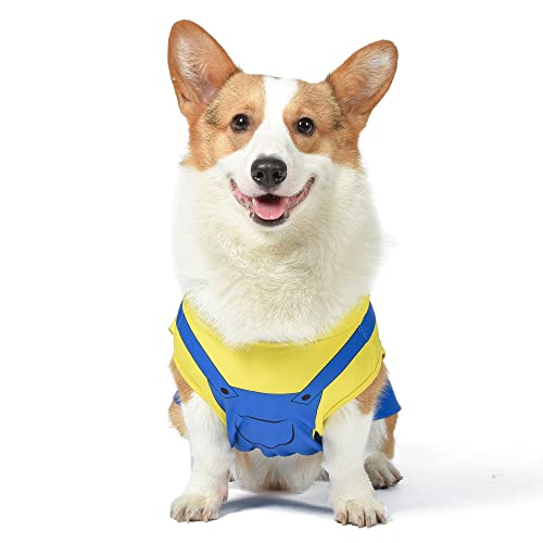Minions Hund Halloween Kostüm, Klein | Hundekostüm mit Kapuze aus den Minions | Süßes Minion Kostüm für Hunde, kleines Hundekostüm für kleine Hunde, Größe S