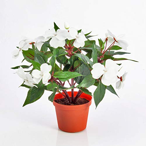 artplants.de Deko Fleißiges Lieschen, Creme - weiß, getopft, 13 Blüten, 25cm - Künstliche Blumen - Textilblumen