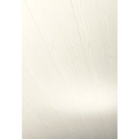 PARADOR Dekorpaneele »Rapido«, Eschefarben weiß geplankt, Holzwerkstoff, Stärke: 12 mm - weiss