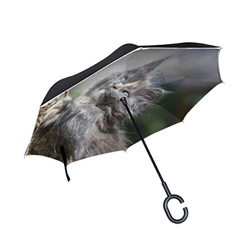 ISAOA Gro?e umgekehrten Regenschirm windfest Double Layer, umgekehrt Faltbarer Regenschirm f¨¹r Auto Regen, Au?enbereich, c-Shaped-Gute Katze, Baum mit Regenschirm f¨¹r Damen und Herren