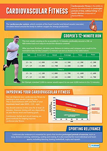 Daydream Education Lernposter „Cardiovascular Fitness“ (Herz-Kreislauf-Fitness) für den Sportunterricht und das Klassenzimmer, Hochglanzpapier, 850 x 594 mm (A1), in englischer Sprache