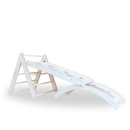 mumy Fitnessstudio Klettern für Kinder, verschließbar mit Balanceboard und Rutsche, Anti-Verschluss | aus Massivholz | Entworfen und hochwertigen hergestellt in Italien (easyCLIMB Safe+ROLL+Slide)