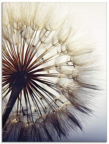 Artland Qualitätsbilder I Glasbilder Deko Glas Bilder 60 x 80 cm Botanik Blumen Pusteblume Foto Blau G5RK Große Pusteblume vor Einem blauen Hintergrund