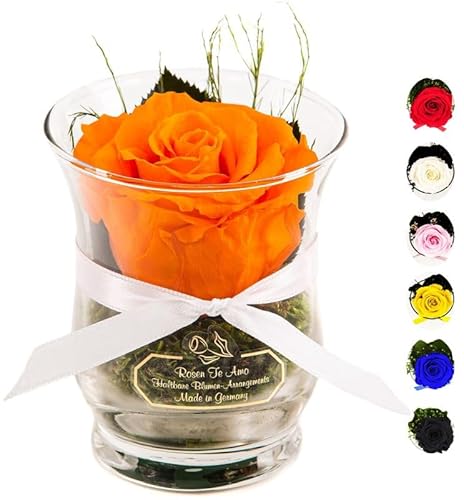Rosen-Te-Amo - 1 Premium orange Rose in der Vase mit echten Bindegrün - Haltbare Rose im Glass als unvergängliches Geschenk - 3 Jahre haltbar ohne Wasser