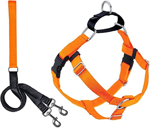 2 Hounds Design 818557021931 No-Pull Dog Harness with LeashMedium (1 Zoll Wide) MNeon Orange