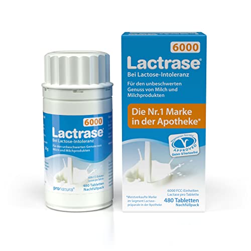 Lactrase 6000, 480 St. Tabletten