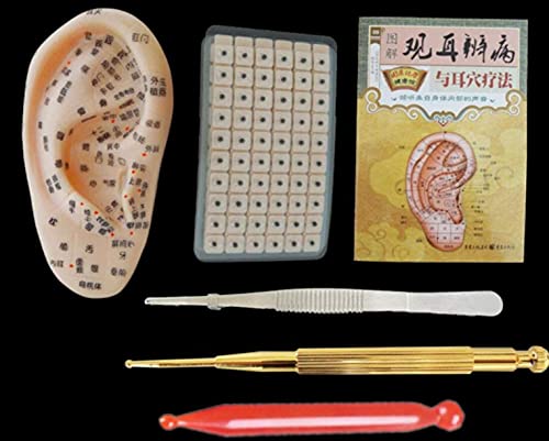 ZHONGJIUYUAN Medizinische Ohrmassage, Akupunktur-Set, 13 cm, Meridian-Ohr-Massage, Akupunkturmodell, Ohr mit 600 Stück Akupunkturtherapie