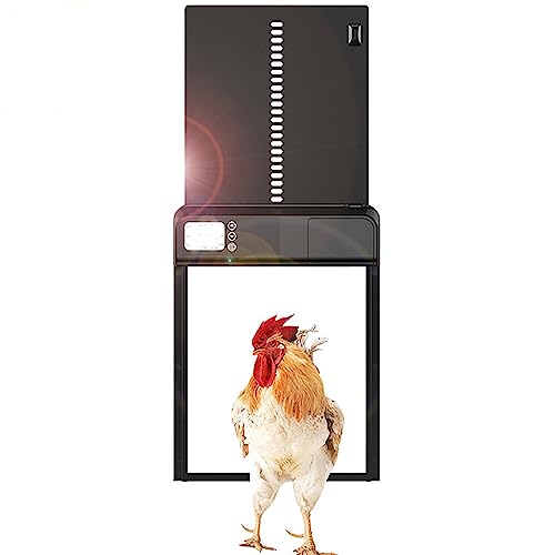 Breadom Automatische Hühnerstalltür, Zeitschaltuhr Hühnerstalltür LCD Bildschirm Wasserdicht Automatischer Hühnerstall Türöffner