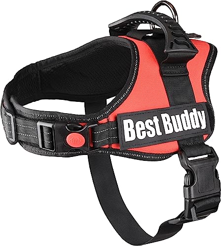 F Geschirr Best Buddy Pluto Rot M 60-80 cm x 38 mm