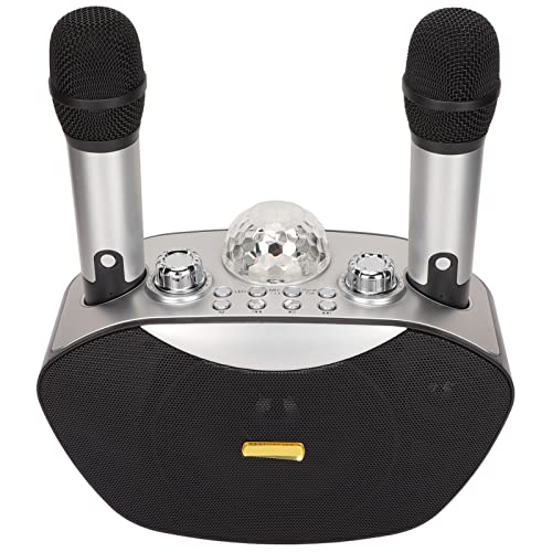 Karaoke-Maschine, tragbarer 10-W-Multi-Input-Kompakt-Wireless-Karaoke-Lautsprecher für Auto für PC für Party(Silber schwarz)