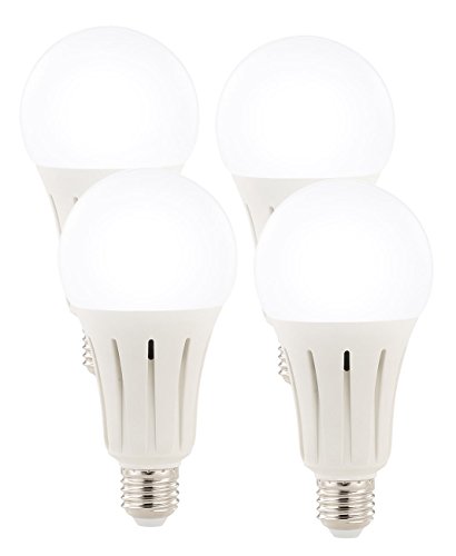 Luminea Tageslichtlampen: 4er-Set High-Power-LED-Lampen E27, 23 Watt, 2.400 Lumen, 6.500 K (LED E27 tageslichtweiß)