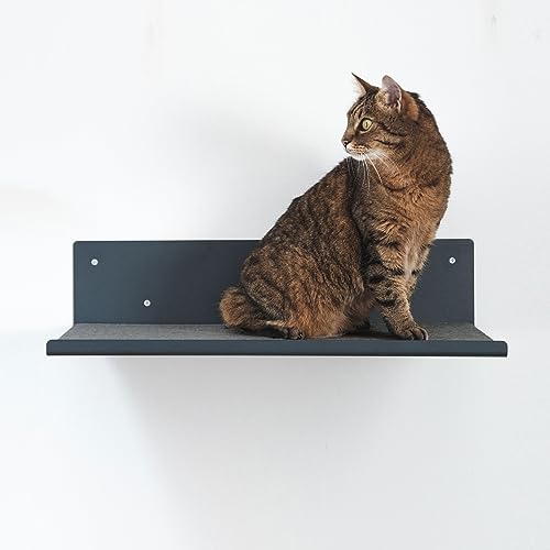 LucyBalu® Wandliege für Katzen | Katzenbett für Wand | Katzen Wand Liegeplatz | Katzen Wandbett | Katzenliege für die Wand | Katzenmöbel für Kletterwand | Katzenregal | Anthrazit mit Filz-Auflage