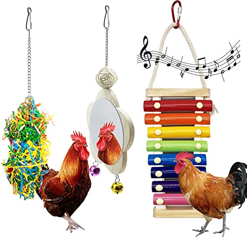 xingzhi 3 x Hühner-Spielzeug für Hühner, Xylophon, Hühner-Spiegel-Spielzeug mit Glöckchen und Futtersuche-Aktenvernichter