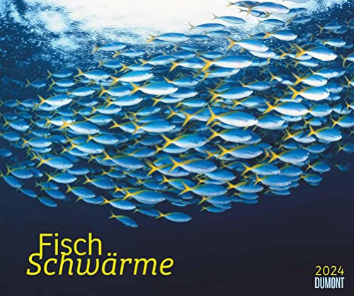 Kal. 2024 Fischschwärme: Fish swarms