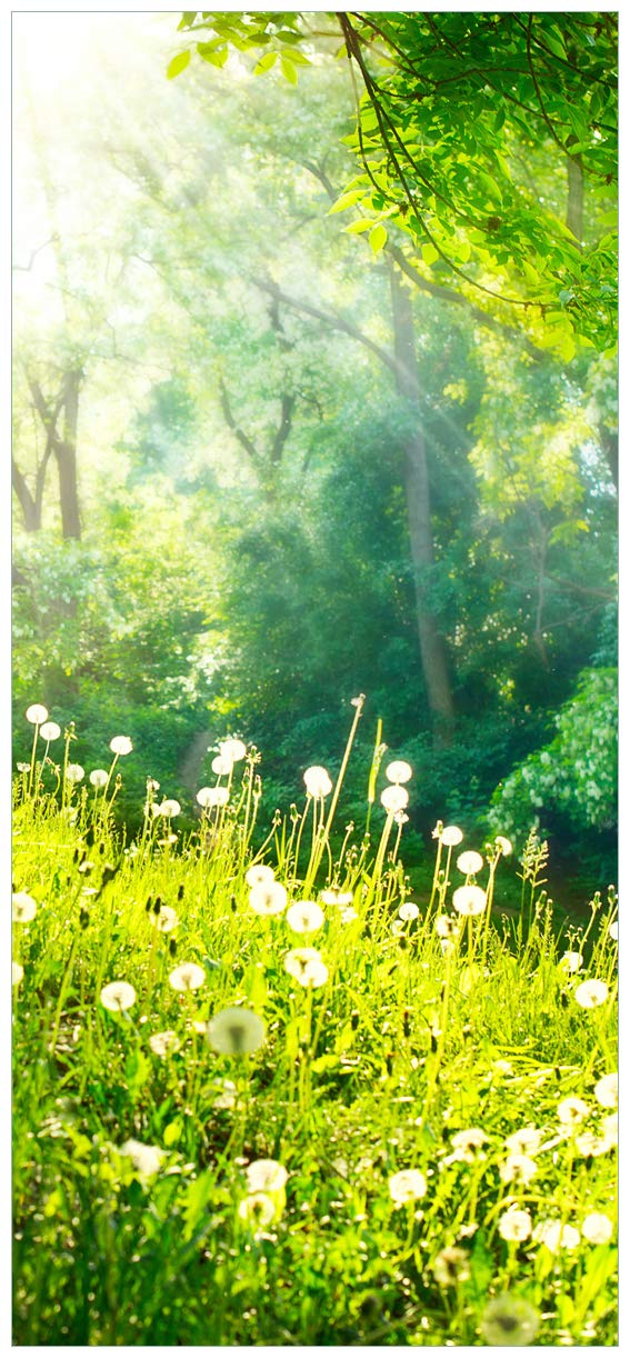 Wallario Selbstklebende Türtapete Pusteblumen im Wald mit einfallenden Sonnenstrahlen - Türposter 93 x 205 cm Abwischbar, rückstandsfrei zu entfernen
