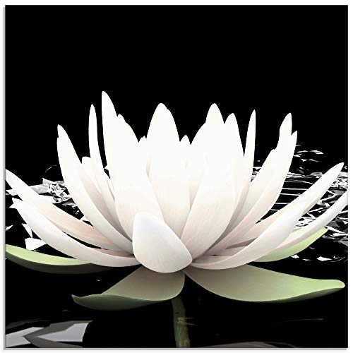 Artland Qualitätsbilder I Glasbilder Deko Glas Bilder 60 x 30 cm Botanik Blumen Seerose Foto Schwarz Weiß D8QA Zwei Lotusblumen auf dem Wasser
