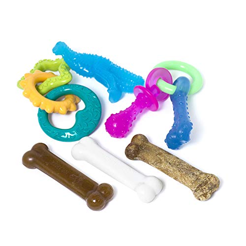 Nylabone Kauspielzeug für Welpen Starter Packungen Puppy Chew Spielzeug
