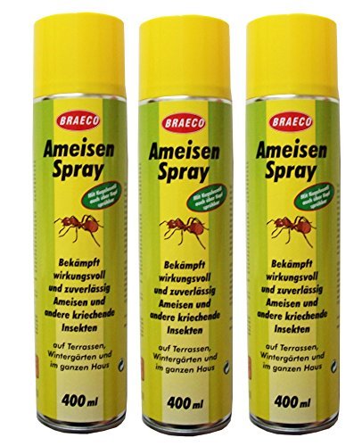 Preisjubel 12 Flaschen Ameisenspray von BRAECO = 4800ml auch für andere kriechende Insekten, Insektenspray