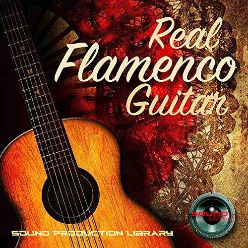 FLAMENCO GUITAR REAL - HUGE Unique 24bit WAVEs Samples/Grooves Library on DVD or for download