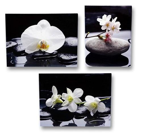 Geschenkestadl 3 er Set Wandbild blühende Orchidee auf Stein je 30cm x 40cm Leinenbild Feng Shui