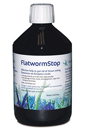Korallenzucht.de Flatwormstop, 1er Pack (1 x 500 ml)
