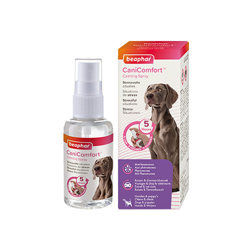 Beaphar CaniComfort Wohlfühl-Spray, Beruhigungsmittel für Hunde mit Pheromonen, 60 ml