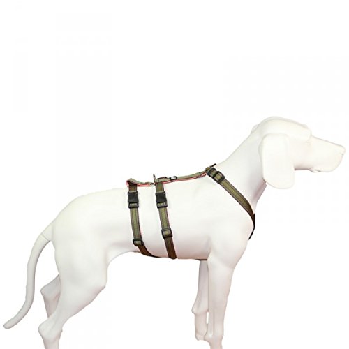 Das Original - NoExit Hundegeschirr ® - 100 % ausbruchsicher für Angsthunde, Panikgeschirr, khaki Muster, Bauchumfang 50-65 cm, 20 mm Bandbreite