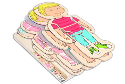 Beleduc 17160 - Lagen-Puzzle Dein Körper Mädchen, Extra Folie mit Darstellung des Blutkreislaufes, Bewährt im Kindergarten