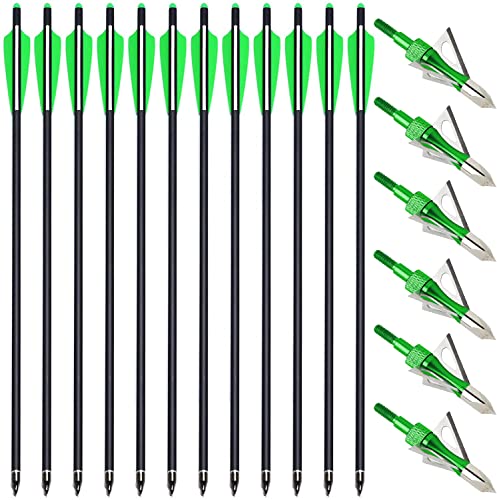PMSM 12 Stück Carbon Armbrustbolzen 20 Zoll Armbrustpfeile und 6 Stück Armbrust Jagdspitzen kit,Armbrust Carbonpfeile für Jagd und Zielbogenschießen Schießen (20Zoll grün und grün)