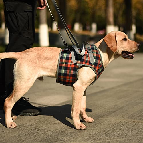 Hunde-Aufzugsgeschirr, Bequeme, rutschfeste Hundeschlinge, Kein Ziehen, Haustier-Hebe-Rehabilitationsweste Mit Verstellbarem Schultergurt, Unterstützung Von Verletzten Hunden Im Obergeschoss