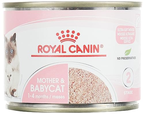 RC Feline Dose Health Nutrition Babycat 195g