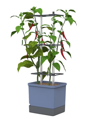 GUSTA GARDEN Charly Chili Chilitopf - Pflanzentopf mit Rankhilfe, Bewässerungssystem & Robustem Rahmen (Blau, XL)