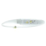 Knog Unisex – Erwachsene Quokka Run 150 Stirnlampe, Transparent,Grün, Einheitsgröße